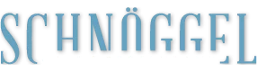 light logo